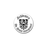 Auf allen Glatten Flächen anwendbar