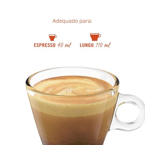Café em Cápsula Nescafé Andes Caixeta com 10x4,4g