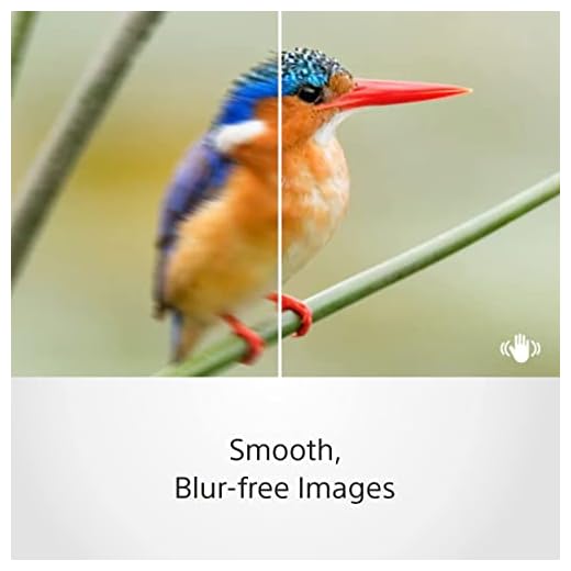 Sony 35mm f/1.8 Prime Lens