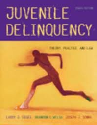 IE-JUV DELINQUENCY 8E 0534578306 Book Cover