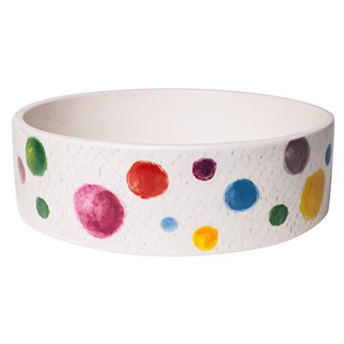 10 Best Rabbit Water Bowl options For Bunnies Reviews and Guides