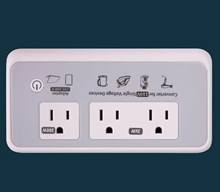 350W 220V to 110V Voltage Converter US to Europe for Hair Straightener and Curling Iron, International Universal Travel Converter Adapter