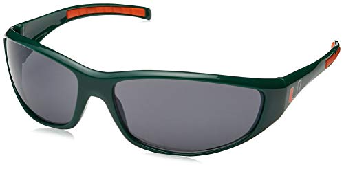 Siskiyou Wrap Sunglasses
