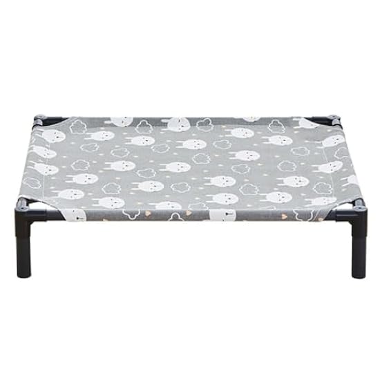 大型コーカサスオオカブトの 標本 木製ケース入り コーカサスオオカブトの 標本 木製ケース入り