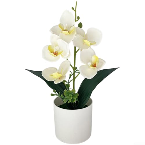 Image of PureBowlic Artificial Phalaenopsis Orchid Potted Plant, Realistic Fake Flowers In White Pot With Moss, Low Decor For Home Office Wedding Bedroom, 31X17cm(White)
