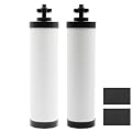 [Upgraded]Larayci Ceramic Filter Silver Infused Replacement for BB9-2® Black Carbon Filters, Compatible with Berkey® and ProOne® Gravity Water Filter System, Repeatable Cleaning Filters, Pack of 2