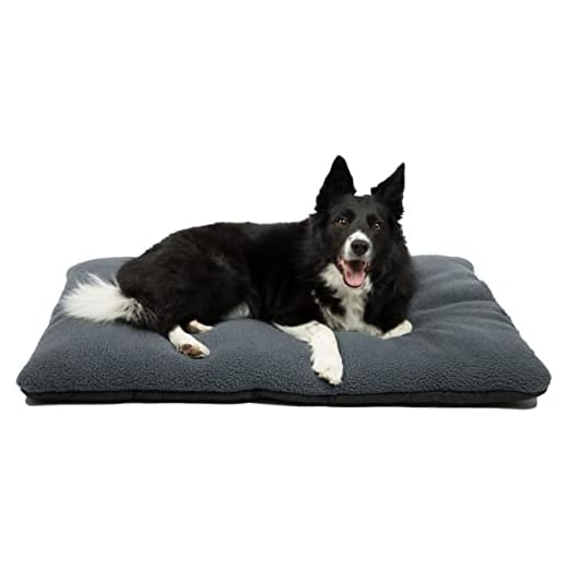 ZOLLNER Cama para Perros Grandes, cojín para Mascotas, Lavable, Aprox.67x90 cm