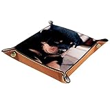 Multifunktional - Anwendung für Mobiltelefone, Uhren, Schlüssel, Schmuck, Münzen und andere kleine Gegenstände, auch für Ihre Heimdekoration