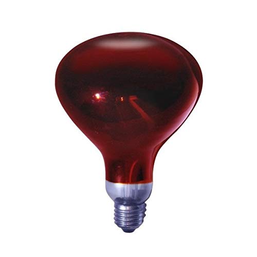 Evila GS1514 Lámpara infrarrojos 250W E27