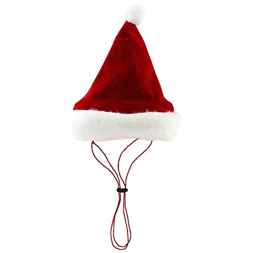 Huxley & Kent Pet Hat | Santa (Medium) | Festive Christmas Holiday Accessory for Dogs/Cats | Holiday Pet Hat | SnugFit Sliding Toggles for Best Fit