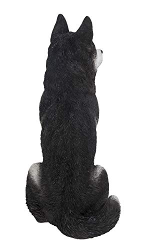Estatua grande de Husky Siberiano negro y blanco miniatura 5