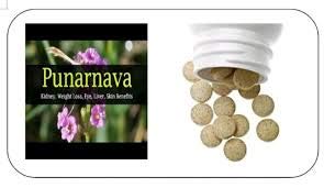 Punarnava Tablet Purnava Tablet (100 Gms)