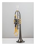 Cama Y Desayuno Instrumento Musical Profesional De Trompeta En Latón Níquel Negro con Estuche De Envío Instrumento de Trompeta