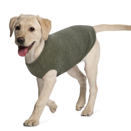 Hjumarayan Hundepullover Grosse Hunde - Hundeshirt Dünn Hunde Pullover Sonnenschutz Tshirt Elastisch Hundepulli Gestreifte Shirt Pullis für Mittelgroße Labrador (Grün XL)