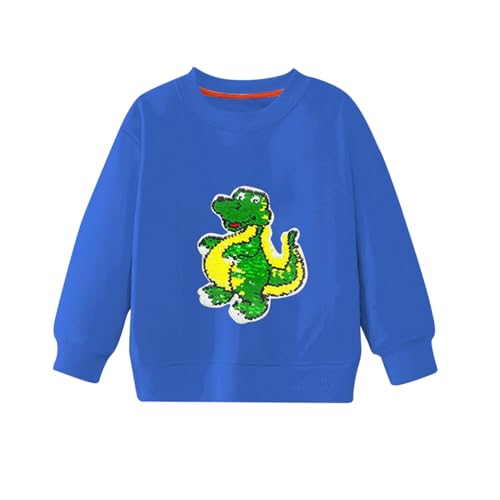 Boys' Long Sleeve Hooded Boys And Girls Hoodie Spring And Autumn Color Sequins Big Children Long (Blue, 4-5 Years)