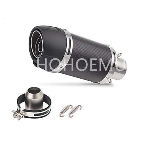 HOHOEMU バイクスリップオンマフラー バイクサイレンサー 汎用 50.8mm 長さ250mm (ステンレスバンド付け, H)