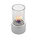 Regal Flame Eden Ventless Tabletop Portable Bio Ethanol Fireplace in Stainless Steel