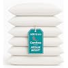 (Pack of 6)