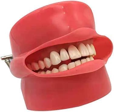 Imagen de Modelo De Implante Dental