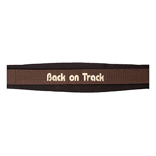 Back on Track Cabestro werano con efecto térmico e hilos reflectantes de seguridad 2