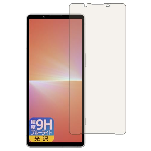 PDAH[ Xperia 5 V (SO-53D/SOG12/XQ-DE44) Ή 9Hdx[u[CgJbg] ی tB  {