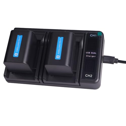 Pratico e risparmio di tempo: per batteria Sony Il caricabatterie è dotato di 2 canali di ricarica indipendenti che possono essere caricate contemporaneamente 2 batterie o una batteria separatamente.