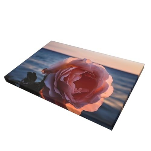Affiches de rose esthétique pour créer un salon chaleureux