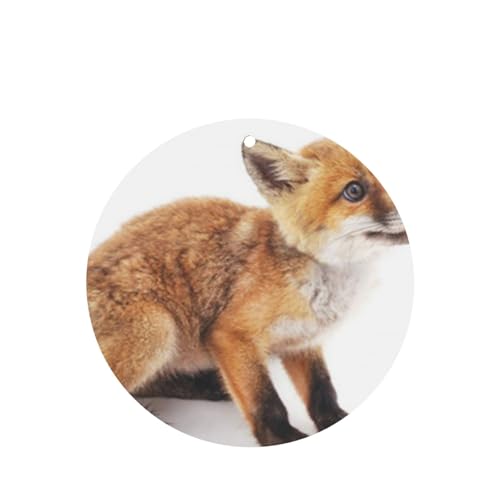 吊り下げ式車用芳香剤カード 2枚パック - 長持ちする吊り下げ式アロマセラピーカード (ラベンダーの香り) 車、自宅の寝室、ワードローブ、靴箱などに最適。男女兼用 (白い背景に小さなキツネが描かれた美しい犬)