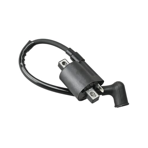 Bobina de encendido para reactivar el motor marino 2T 5HP de su bote 5
