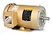 Baldor CEM3546T General Purpose AC Motor, 3 Phase, 143TC Frame, TEFC Enclosure, 1Hp Output, 1760rpm, 60Hz, 208-230/460V Voltage
