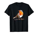 Robin Bird Ornithology Nerd Birding Watcher