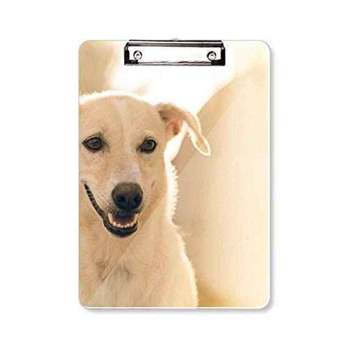 Carnet de notes chien et album photo A4 blanc pour toute la famille