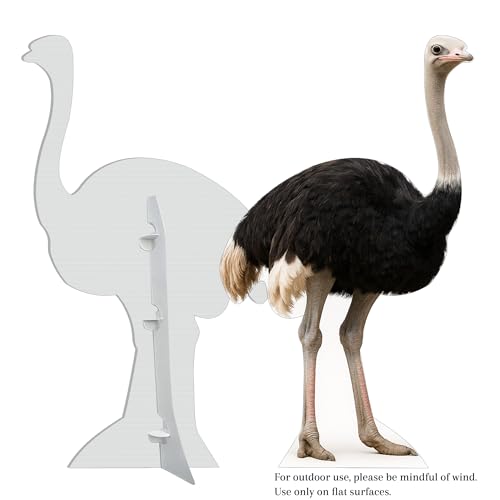 Image of Ostrich 3FT Life Size Cardboard Cutout - A Fun Animal Standup for Photo Booths, Birthday Parties, and Events