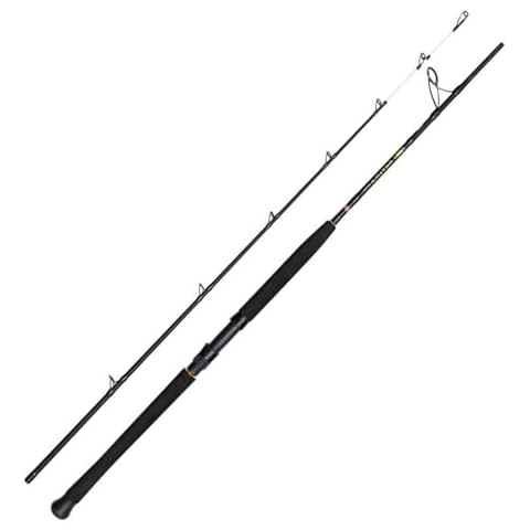 PENN Wrath II Boat Spinning Rod for Sea Fishing Cover