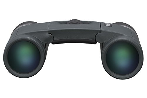 Pentax AD 8x25 WP Binoculars Suitable for Outdoor Live Event Travel or Even Mountaineering