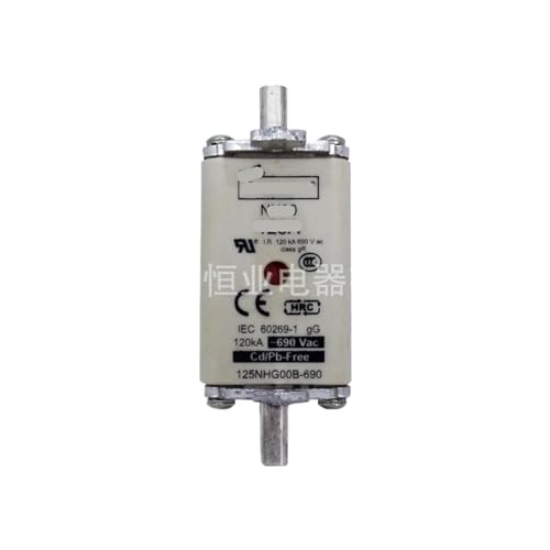 Fusible 100NHG00B haute performance en céramique pour usage industriel - 2