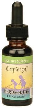Herbs For Kids Minty Ginger Blend 1 oz ( Multi-Pack)