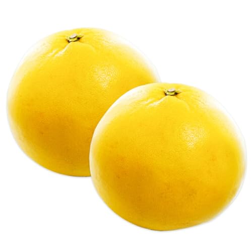 氷川町産 晩白柚 2玉(Lサイズ)[12月中旬-3月中旬頃出荷]