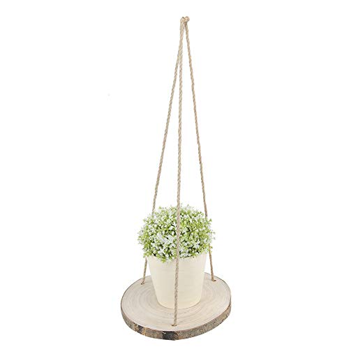 Présentoir pour plantes d'intérieur et étagères flottantes au fini beige épuré