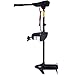 Goplus Electric Trolling Motor 46/55/86 LBS Thrust Transom Mounted Two-Blade Propeller 8 Speed with Adjustable Handle for Fishing Boats Freshwater and Saltwater Use (86LBS)