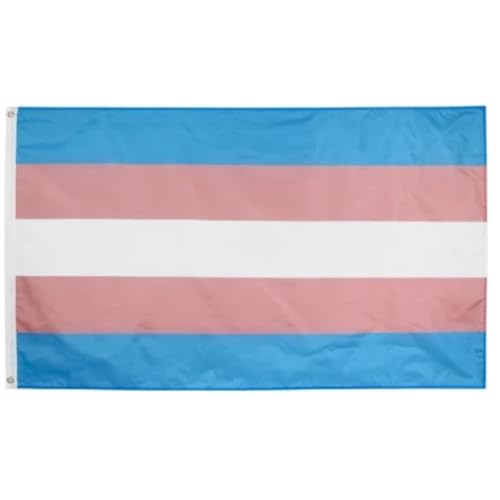 Bandeira LGBT Trans em Tamanho Grande 90 cm X 150 cm Cores Fortes