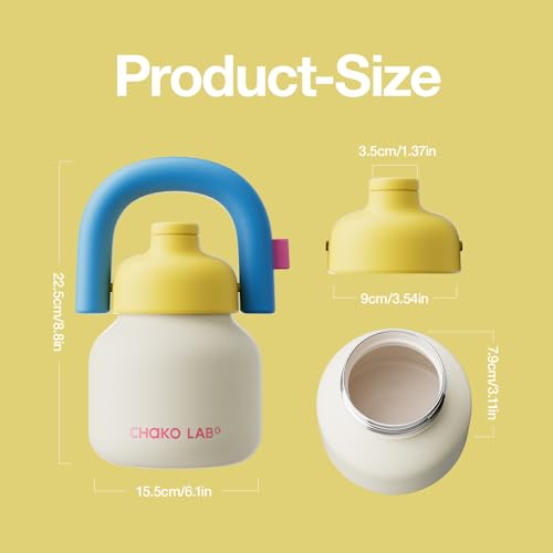 CHAKO LAB Water Bottle with Straw and Carry Handle | Wide Mouth vacuum Ceramic Liner | Reusable, leak-proof and BPA-free | 33oz(Cake)