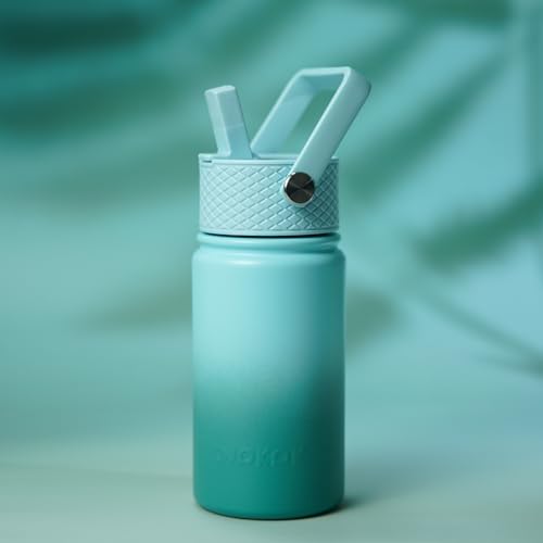 Image of BJPKPK Insulated Water Bottle, 15oz Stainless Steel with Straw Lid