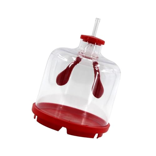 Aide pédagogique des poumons pour simplifier les cours de SVT difficiles - 2