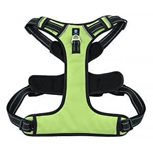 See full amazon price history chart for Maxxlite Dog Harness No Pull Harness 3M Reflective Dog Belt for Small Medium Large Dogs Easy Control Dog Chest Belt - No More Pulling or Choking (Small, Neon Green) Maxxlite Dog Harness No Pull Harness 3M Reflective Dog Belt for Small Medium Large Dogs Easy Control Dog Chest Belt - No More Pulling or Choking (Small, Neon Green) (B0BVF8ZZ72) Amazon Price History, Amazon Price Tracker
