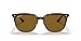 Ray-Ban RB4362 Square Sunglasses, Havana/Polarized Brown, 55 mm