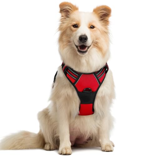 Image of rabbitgoo Dog Harness No Pull with 2 Leash Clips, Adjustable Soft Padded, Reflective Oxford No Choke Pet Vest with Easy Control Handle for Medium Sized Dogs, Red, M