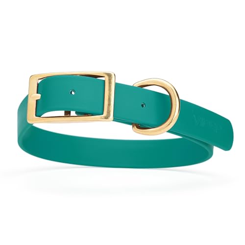 Image of Viper Biothane Heavy Duty Waterproof Dog Collar Strong Coated Nylon Webbing w /Solid Brass Hardware Odor-Proof Easy to Clean High Performance Fits Small Medium or Large Dogs, Blue Aqua
