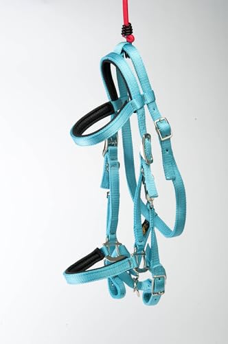 Triple E Nylon Padded Halter Trail Bridle Turquois