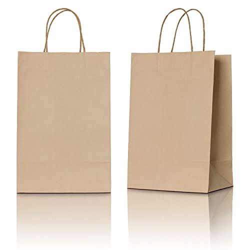 Grupo Darik 30 Bolsas de Papel Kraft 24x18x8 cm| Bolsa de Papel con Asas | Bolsas marrón (marrón, 24x18x8 cm)